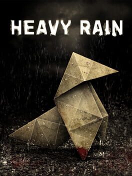Heavy Rain Cover